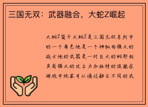三国无双：武器融合，大蛇Z崛起